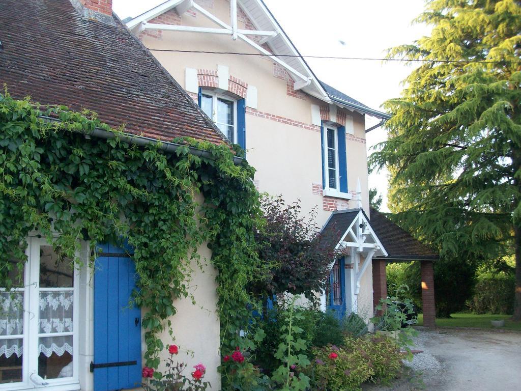 Loire, Chateaux, Et Vignes Onzain Exterior photo